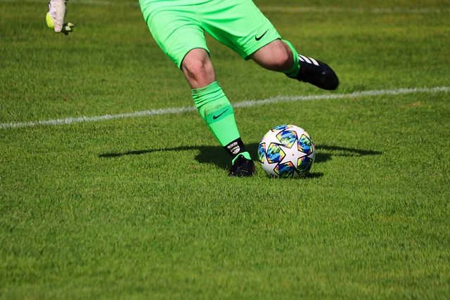 充分发挥的 充分发挥的