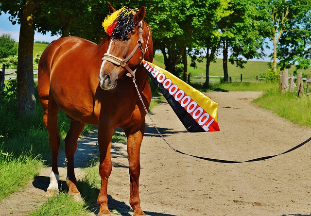 文化的传播 文化的传播