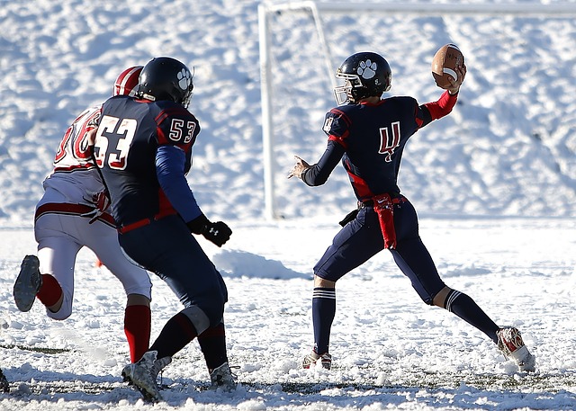 晋级历程 晋级历程